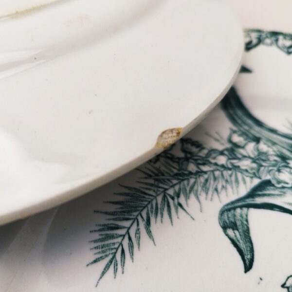 Paire d'assiettes plates terre de fer de Saint Amand, modèle Muguet. Une égrenure sous le rebord d'une assiette, non visible une fois posée sur la table et défauts de cuisson sous l'autre assiette. Bon état général. Diamètre : 22 cm