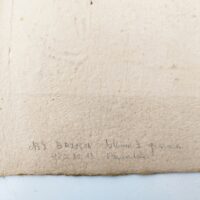 Lithographie originale de Pierre-marie Brisson au décor abstrait sur papier très épais et gaufré. Des petites taches et rousseurs , un accroc sur le bord haut. Une inscription sur l'arrière au crayon de papier. Bon état général. Dimensions : 56,5 x 44,5 cm