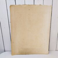 Lithographie originale de Pierre-marie Brisson au décor abstrait sur papier très épais et gaufré. Des petites taches et rousseurs , un accroc sur le bord haut. Une inscription sur l'arrière au crayon de papier. Bon état général. Dimensions : 56,5 x 44,5 cm