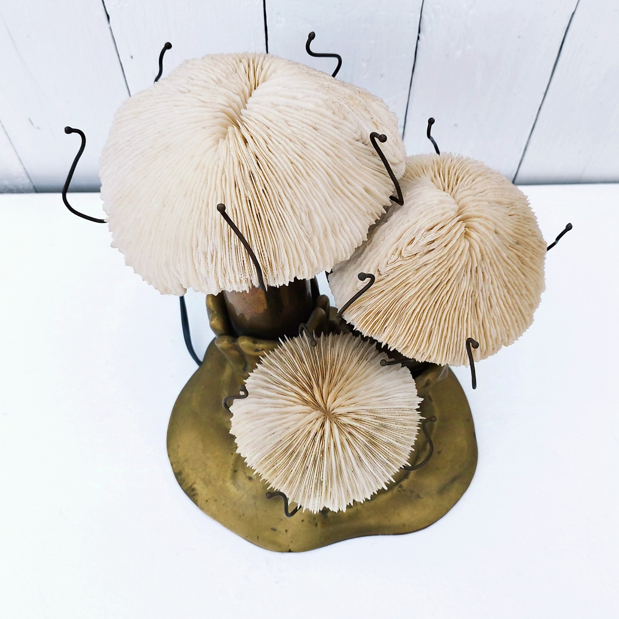 exceptionnelle lampe en bronze massif par Duval Brasseur. Chapeaux des champignons sont en coraux véritables. Lampe d'ambiance d'un plus bel effet. Trace de vert-de-gris sur certain endroits, belle pâtine dorée. Non signée mais répertoriée. Lampe très lourde. Très bon état. Hauteur : 26 cm