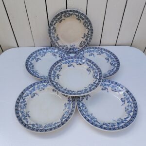 Six assiettes creuses terre de fer de Saint Amand modèle Volubilis. Petites traces d'usage Bon état général. Diamètre : 23 cm