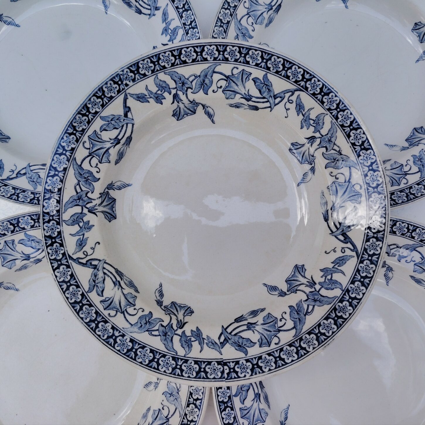Six assiettes creuses terre de fer de Saint Amand modèle Volubilis. Petites traces d'usage Bon état général. Diamètre : 23 cm